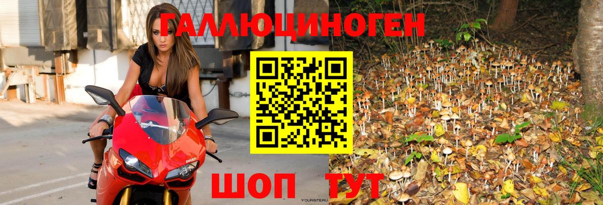 Галлюциногенные грибы мицелий  Вход с VPN  Ликино-Дулёво 